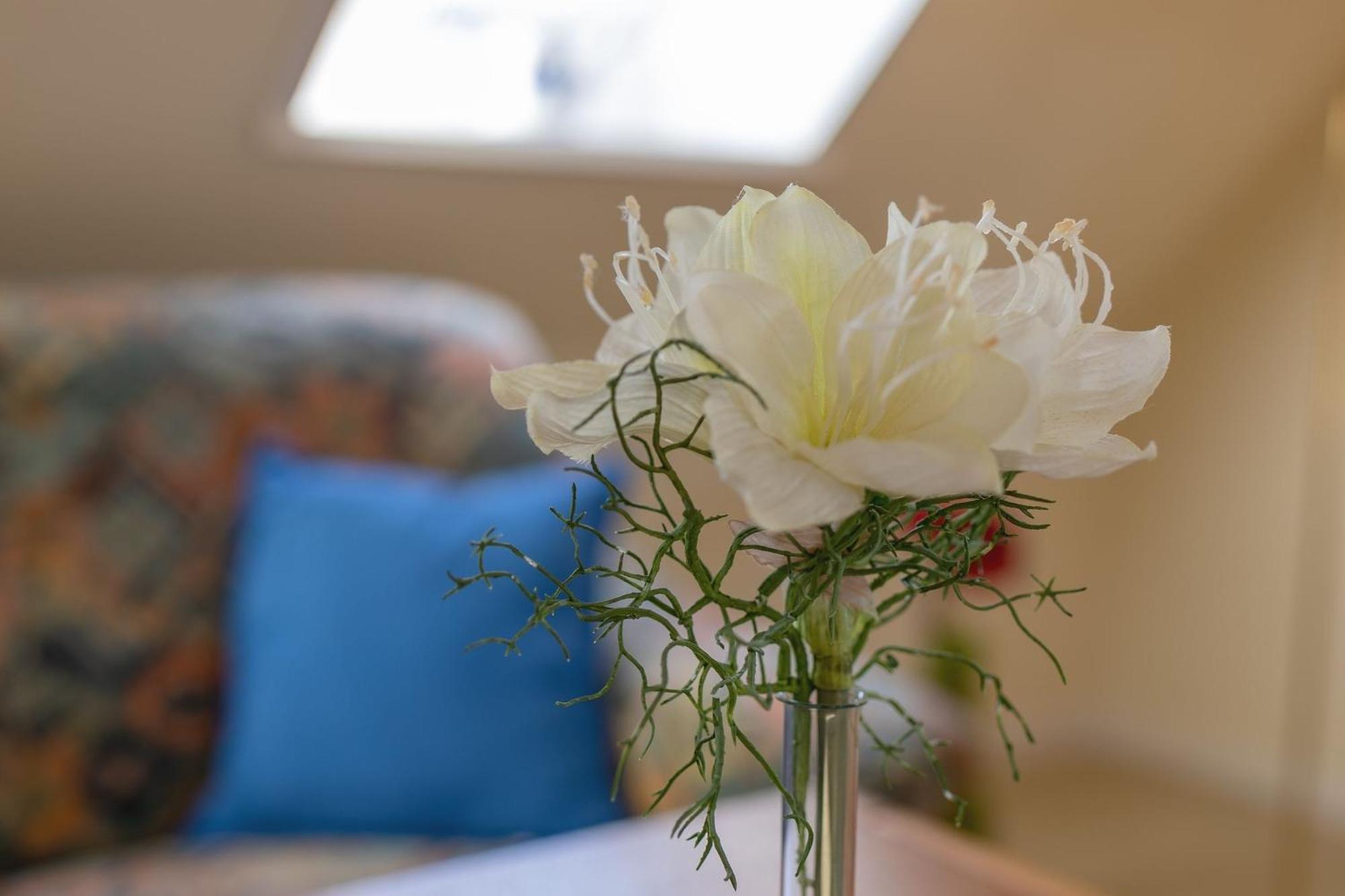 Lindenbuschen 2 Wohnung 7 Kellenhusen Kültér fotó